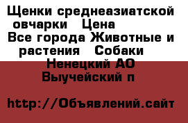 Щенки среднеазиатской овчарки › Цена ­ 20 000 - Все города Животные и растения » Собаки   . Ненецкий АО,Выучейский п.